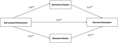 The relationship between self-oriented perfectionism and exercise participation: based on the dualistic model of passion